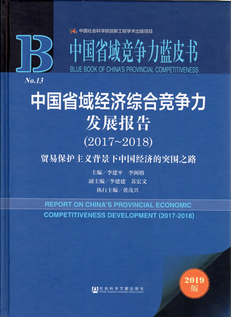 0650heirenshunvshipin中国省域经济综合竞争力发展报告（2017-2018）